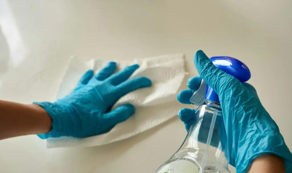 Disinfectant cleaning with enzymes ensuring deep hygiene, stain removal, and germ protection – Catalex Bio solutions