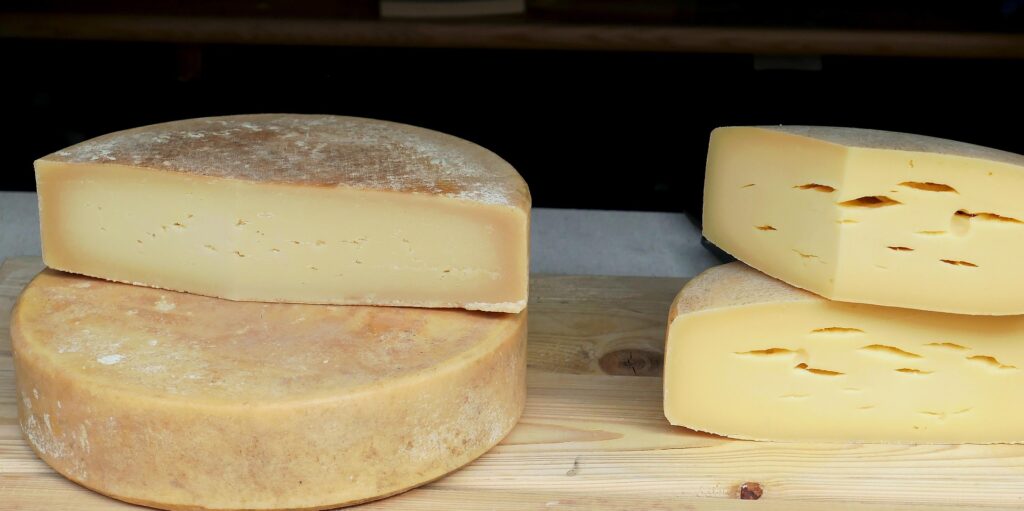Round cheese wheel representing dairy enzyme applications in cheese production and aging