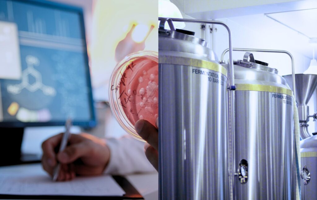 Image illustrating enzyme laboratory and fermentation setup at Catalex Bio