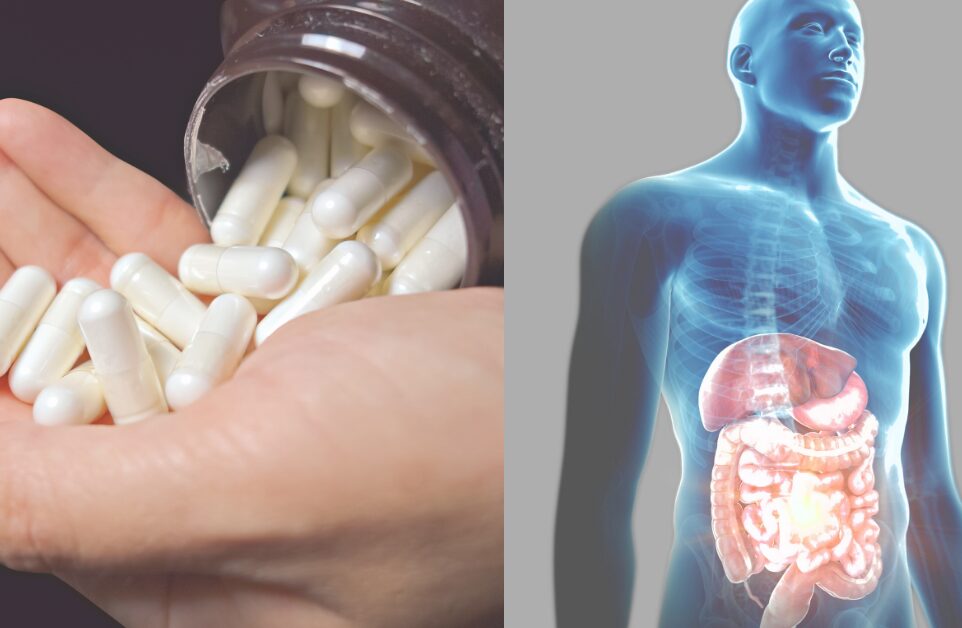 Probiotics by Catalex Bio beneficial for gut health