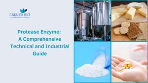 Catalex Bio presenting detailed guide on use of Protease enzyme in different industries