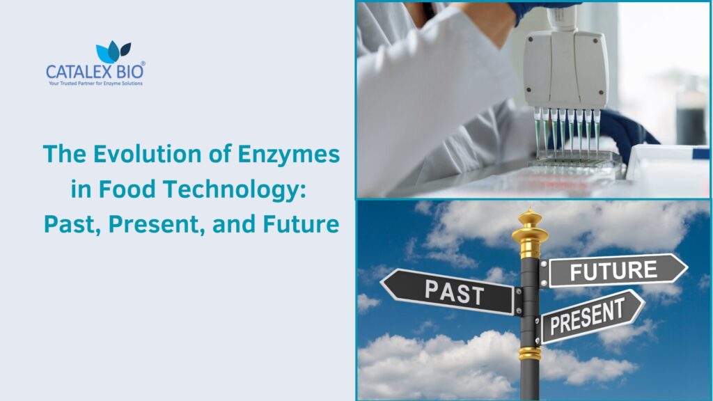 Catalex Bio research on Food enzymes - past, present and future