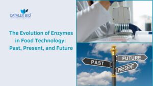 Catalex Bio research on Food enzymes - past, present and future