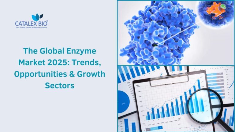 Catalex Bio researching on enzyme market trend and insights