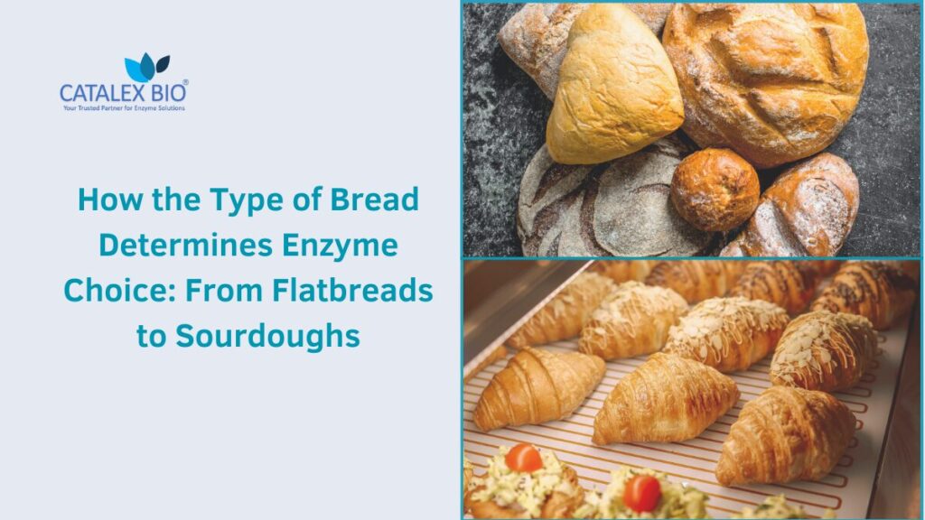 How type of bread decides choice of enzymes? Expert view by Catalex Bio