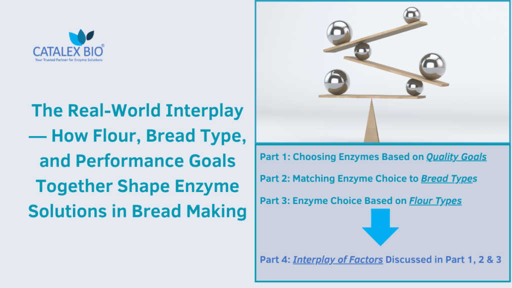 Enzyme Choice for Bread and Baking with Interplay of Factors - Expert Opinion by Catalex Bio