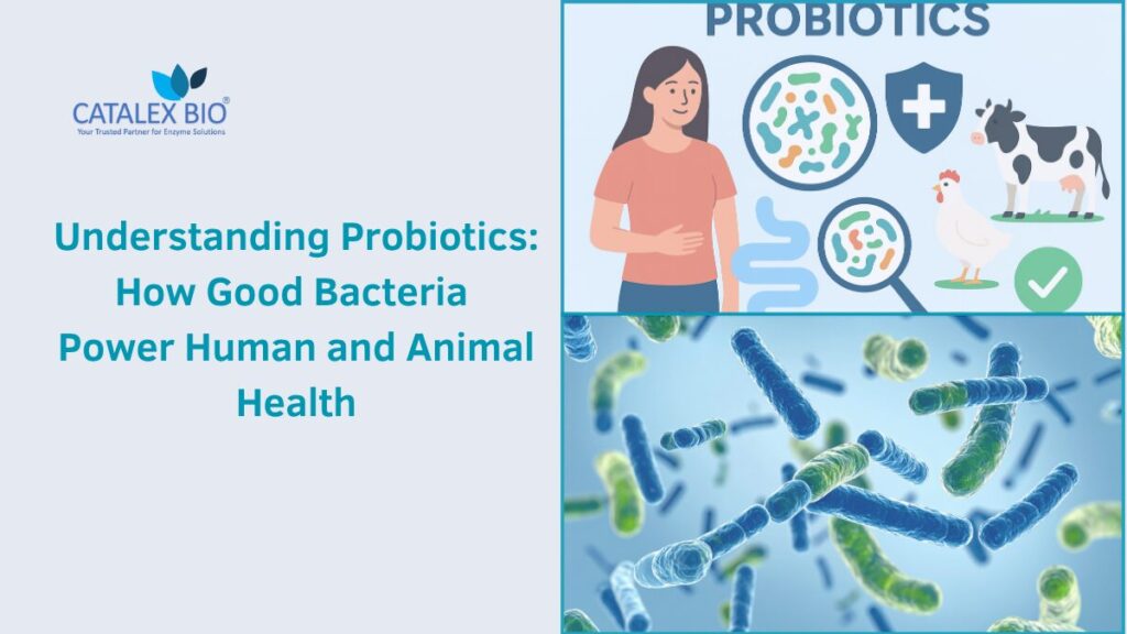 Probiotics for Human & Animal Health by Catalex Bio