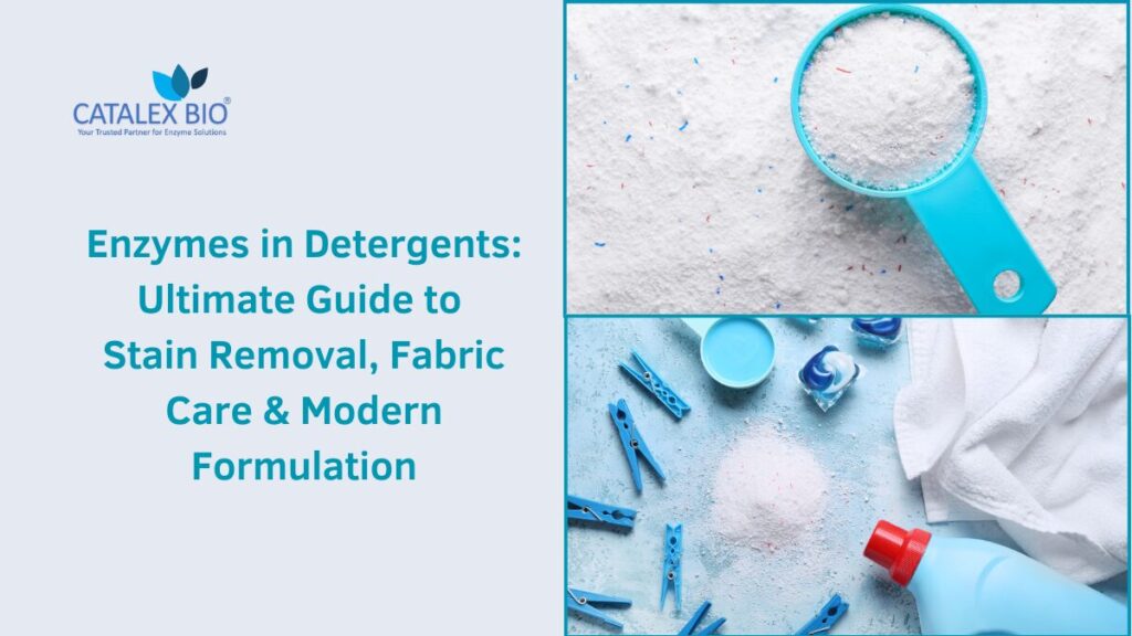 Detergent Enzymes Guide by Catalex Bio - a leading detergent enzyme manufacturer and supplier