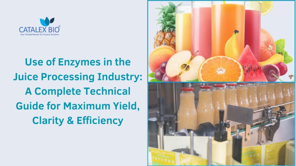 Juice Processing Enzymes Explained by Catalex Bio