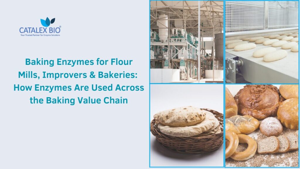 Baking Enzymes for Flour Mills, Improvers & Bakeries by Catalex Bio
