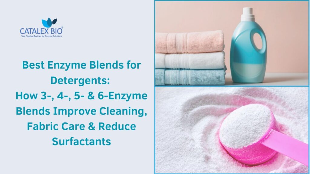 Best Detergent Enzyme Blends Explained by Catalex Bio