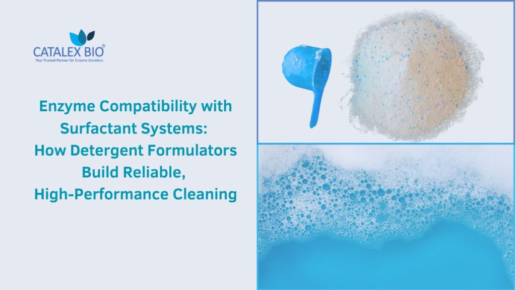 Detergent Enzymes and Surfactant Compatibility Explained by Catalex Bio