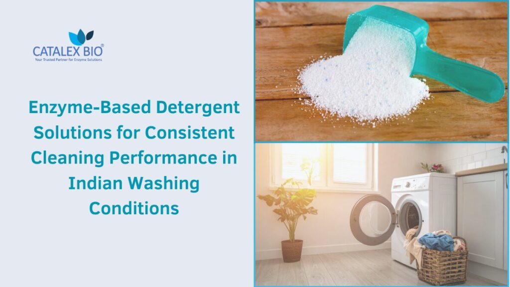 Detergent Enzyme Solutions for India by Catalex Bio