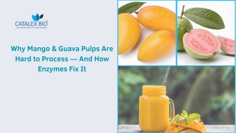 Mango and Guava Juice Processing Enzymes by Catalex Bio