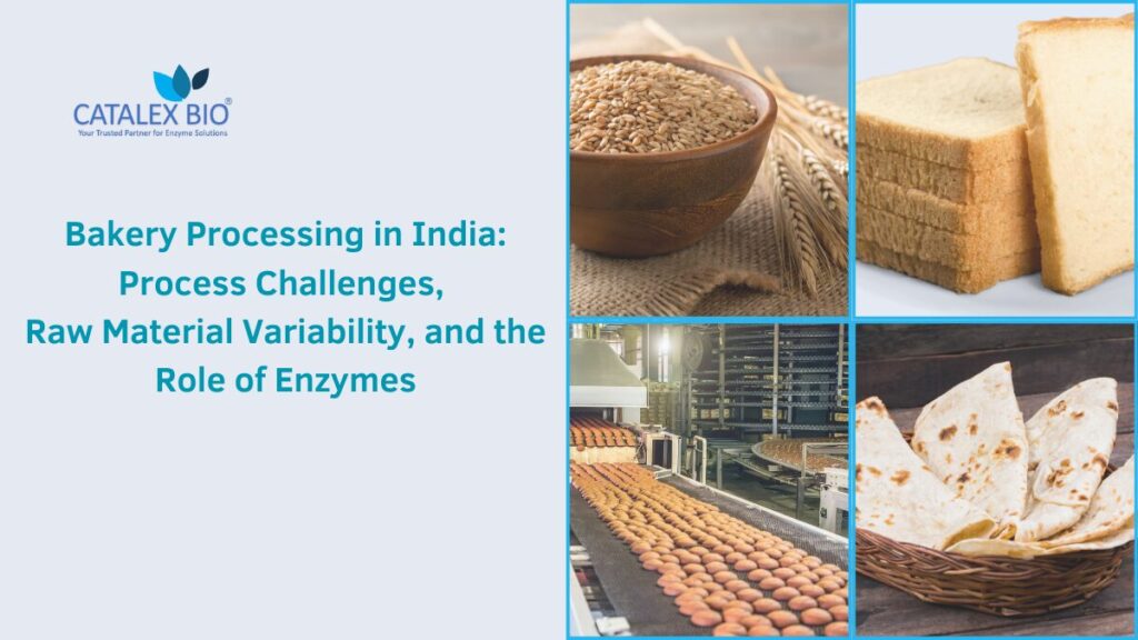 Bakery Processing Challenges in India and Role of Enzymes - Explained by Catalex Bio