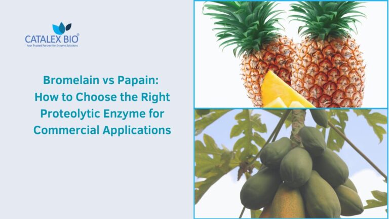 Bromelain vs Papain Comparison by Catalex Bio