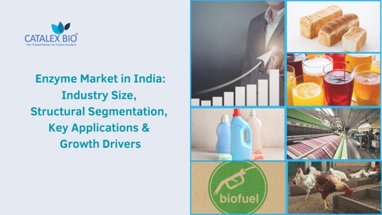 Enzyme Market in India Trend and Growth by Catalex Bio