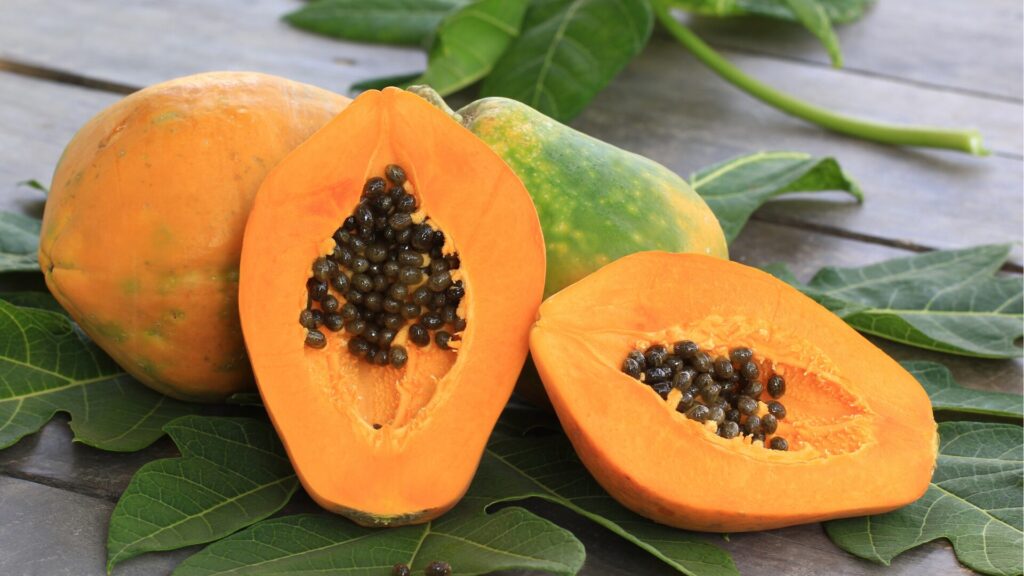 Catalex Bio is a manufacturer and Supplier of Papain Enzyme - Papain Enzyme from Papaya