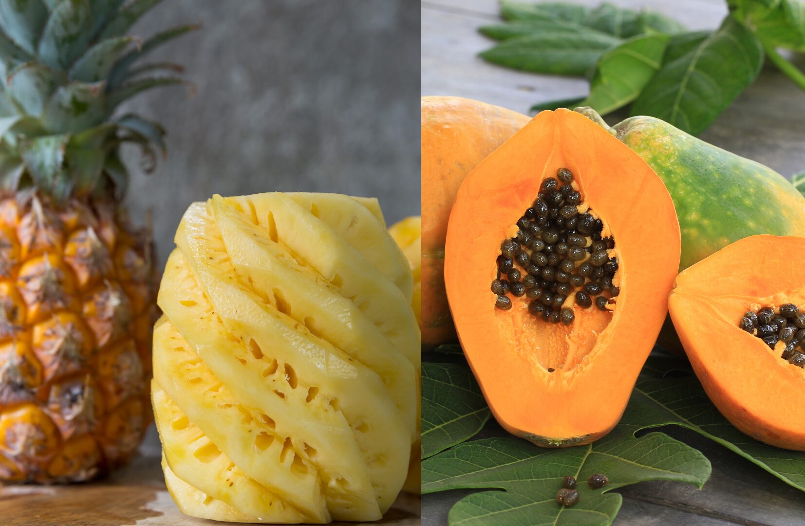 Bromelain and Papain Enzymes Manufactured and Supplied by Catalex Bio