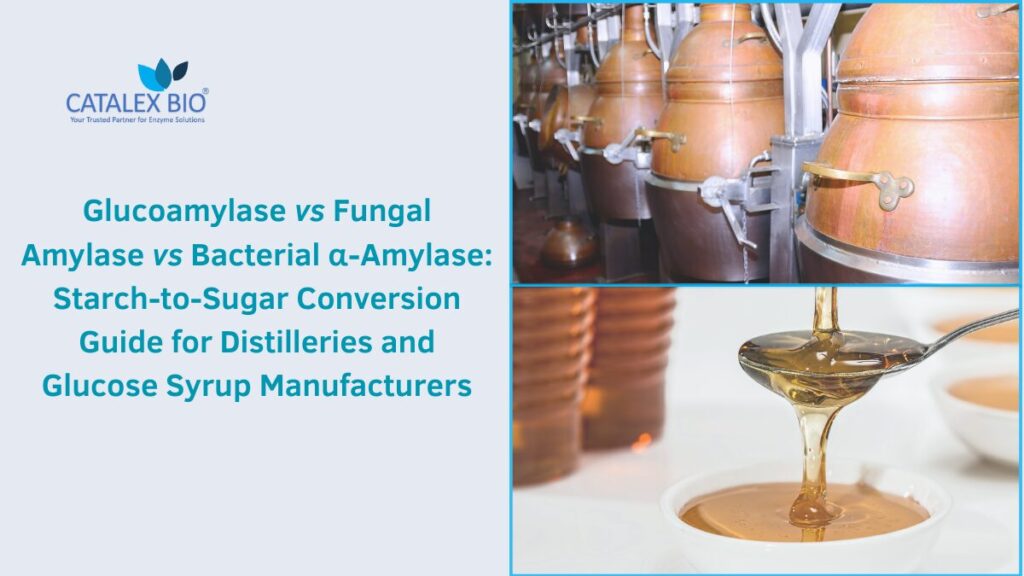 Starch to sugar conversion guide by Catalex Bio