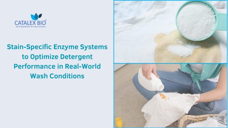 Stain Sepcific Detergent Enzyme Formulation Explained by Catalex Bio