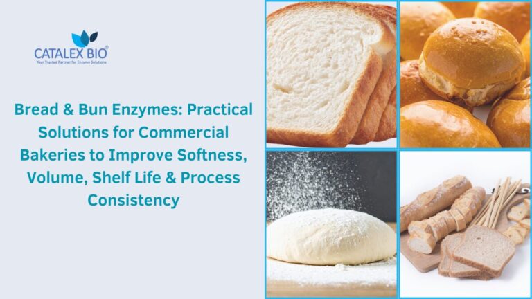 Bread and Bun Enzymes for Commercial Bakeries by Catalex Bio