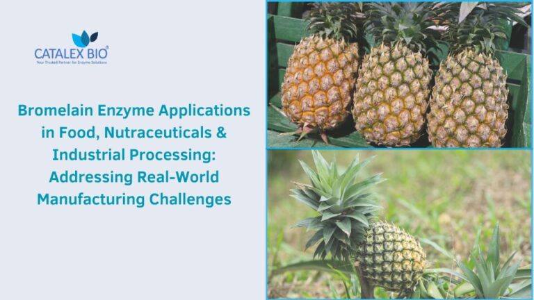 Bromelain Enzyme Applications
