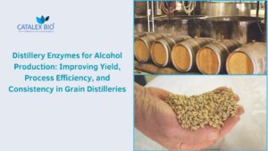 Distillery Enzymes Guide by Catalex Bio