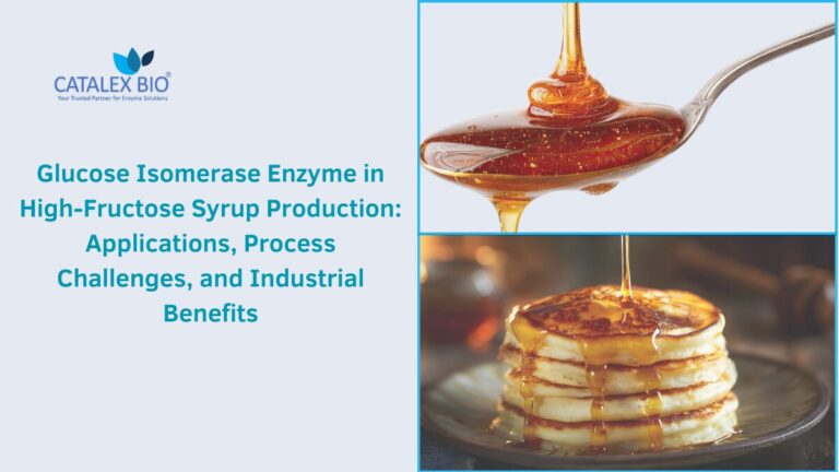 Glucose Isomerase Enzyme for HFCS production from Catalex Bio
