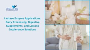 Lactase Enzyme for Lactose-free Dairy and Digestive Supplements by Catalex Bio