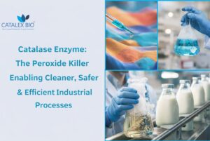 Catalase Enzyme Applications- Catalex Bio is a manufacturer and supplier of Catalase Enzyme