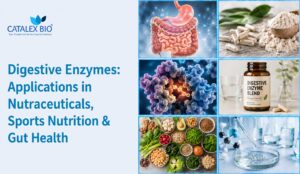 Overview of digestive enzymes used in nutraceuticals, sports nutrition, gut health supplements, and wellness formulations by Catalex Bio