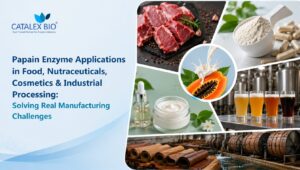 Papain enzyme applications in food, nutraceuticals, cosmetics and industrial processing featuring papaya-derived enzyme powder, dietary supplements, cosmetic formulations, beverage processing, meat tenderization and leather processing solutions by Catalex Bio.