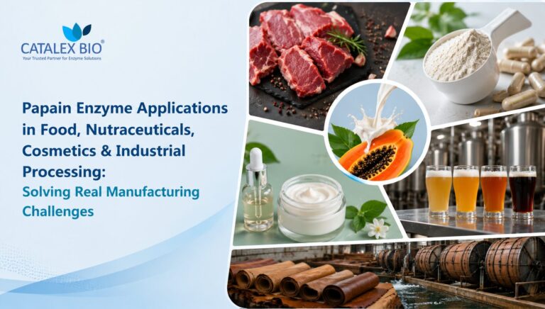 Papain enzyme applications in food, nutraceuticals, cosmetics and industrial processing featuring papaya-derived enzyme powder, dietary supplements, cosmetic formulations, beverage processing, meat tenderization and leather processing solutions by Catalex Bio.