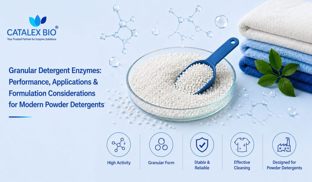 Granular detergent enzymes for modern powder detergent formulations and cleaning applications – Catalex Bio
