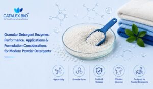 Granular detergent enzymes for modern powder detergent formulations and cleaning applications – Catalex Bio